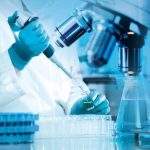 Edital Doutorado 2025